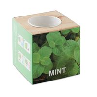 VASO MENTA
